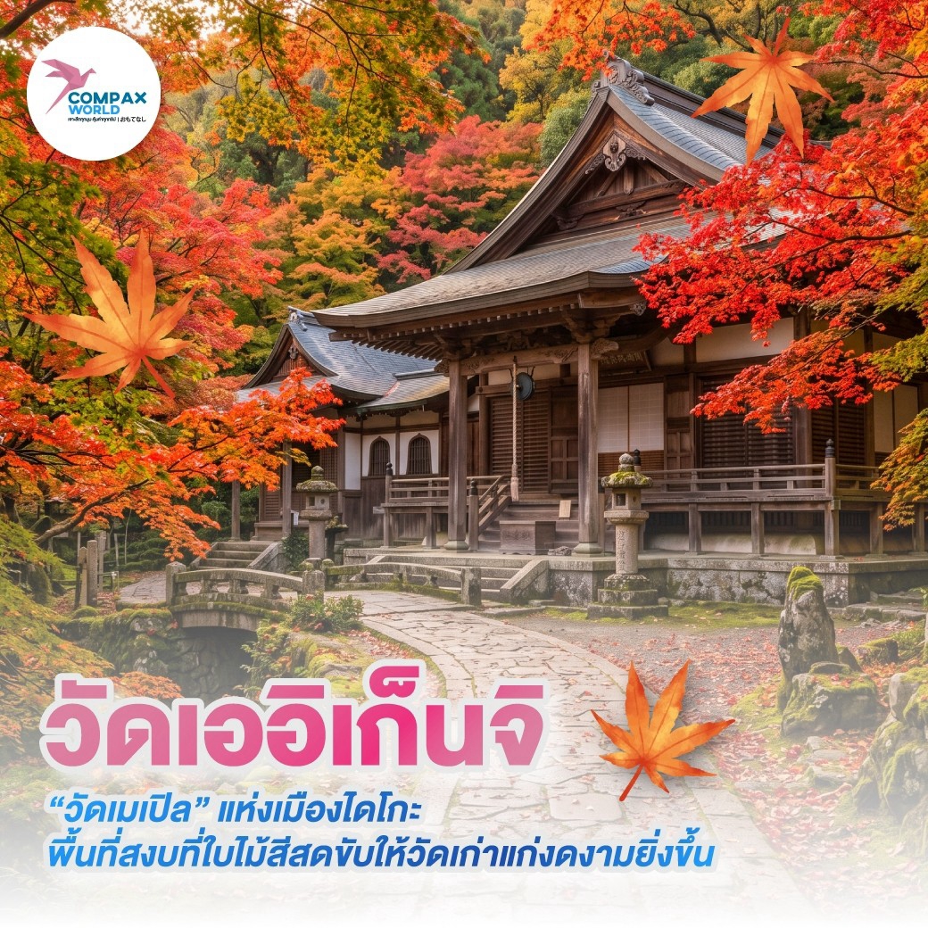 เที่ยวญี่ปุ่น ทัวร์ญี่ปุ่น ทัวร์ญี่ปุ่นพรีเมี่ยม โปรแกรมทัวร์ญี่ปุ่น
